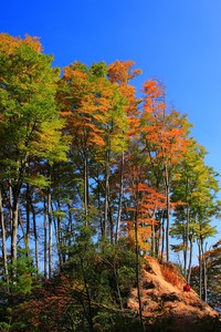 开云体育实名认证入口-俄罗斯足球传奇再次登顶巅峰，展现王者风采