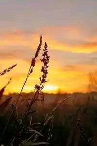 开云体育app官网下载地址-关于欧锦赛资格赛的最新消息