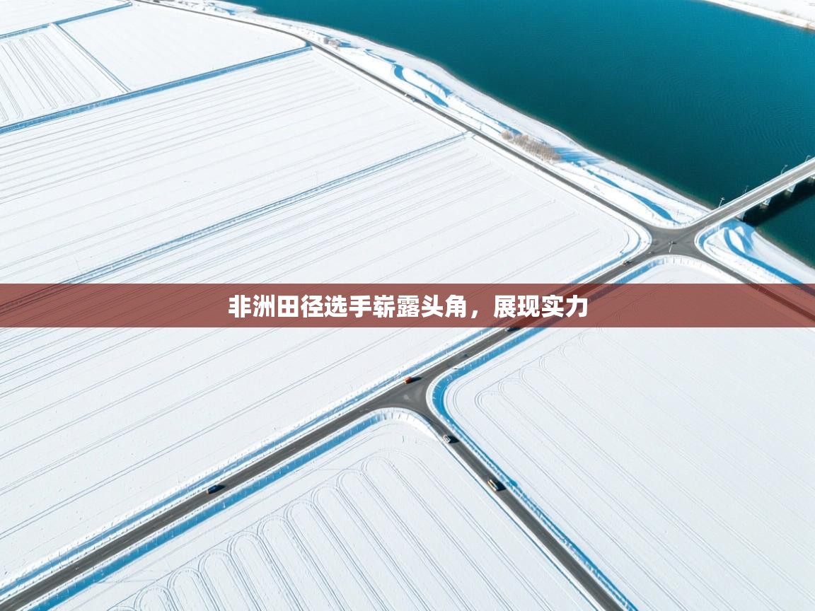开云体育安卓APK下载-非洲田径选手崭露头角，展现实力  第2张