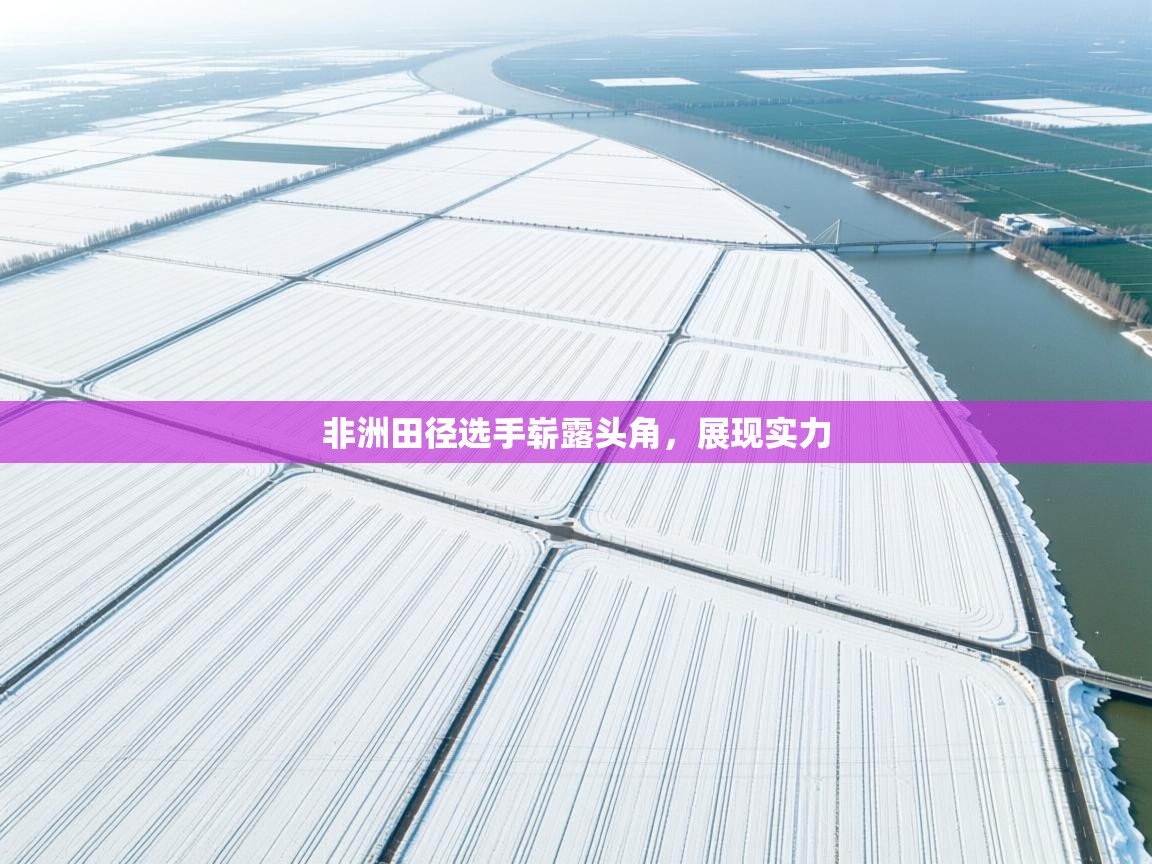 开云体育安卓APK下载-非洲田径选手崭露头角，展现实力  第4张