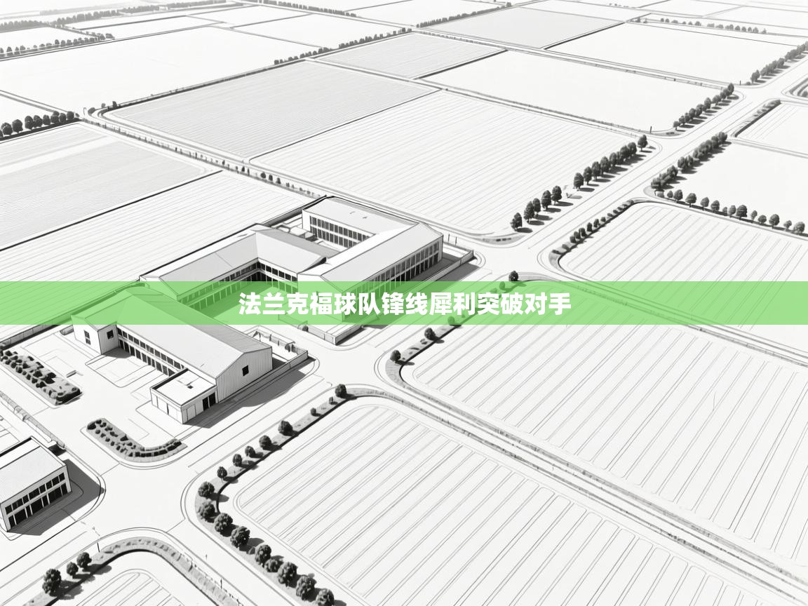 开云体育app下载官网-法兰克福球队锋线犀利突破对手 第1张