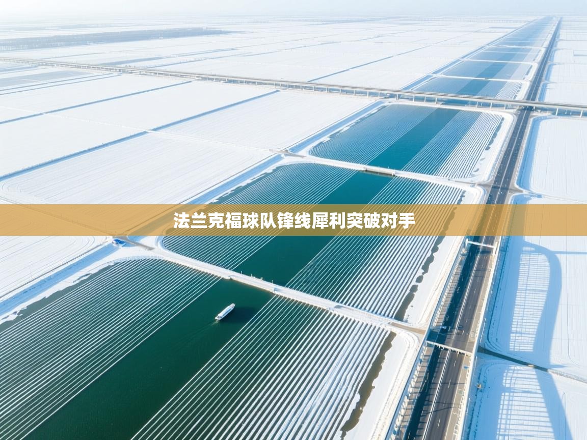 开云体育app下载官网-法兰克福球队锋线犀利突破对手 第2张