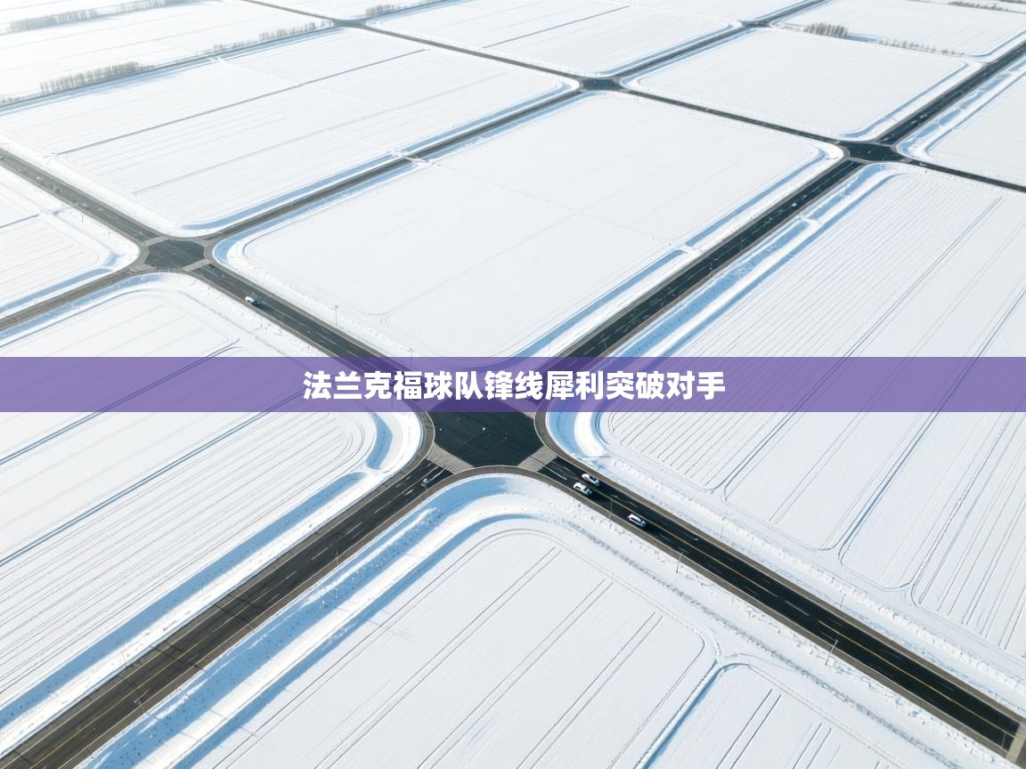 开云体育app下载官网-法兰克福球队锋线犀利突破对手 第3张