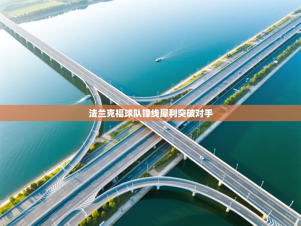 开云体育app下载官网-法兰克福球队锋线犀利突破对手 第4张