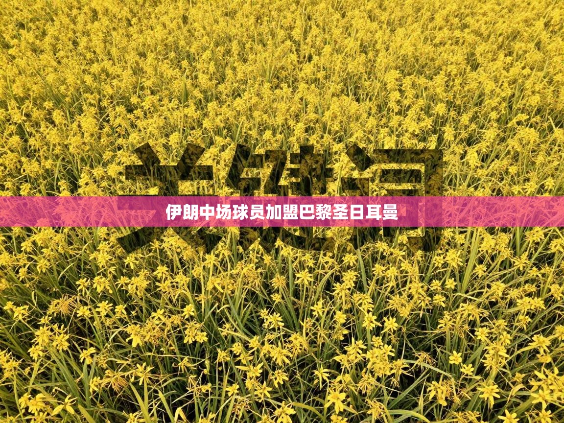 云开体育app官网入口网页版-伊朗中场球员加盟巴黎圣日耳曼 第1张