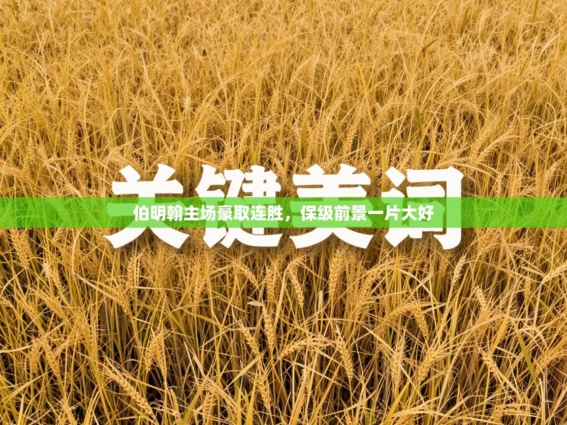 云开体育官方app下载-伯明翰主场豪取连胜，保级前景一片大好  第1张