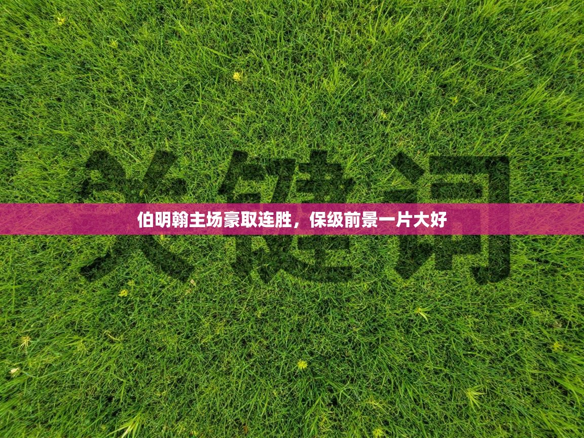 云开体育官方app下载-伯明翰主场豪取连胜，保级前景一片大好  第3张